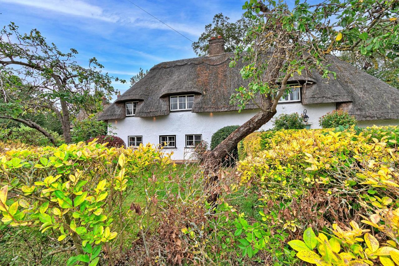 Finest Retreats - Chocolate Box Cottage Potton المظهر الخارجي الصورة